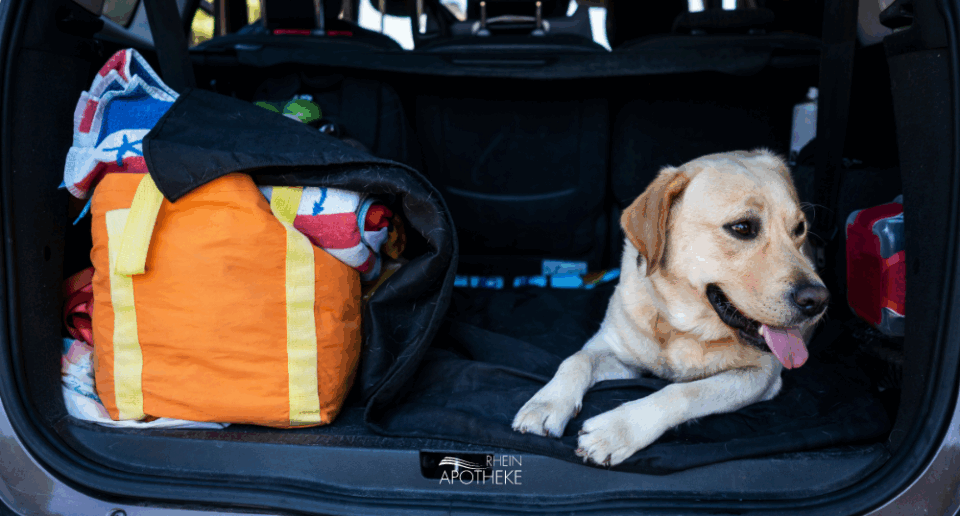 urlaub mit hund